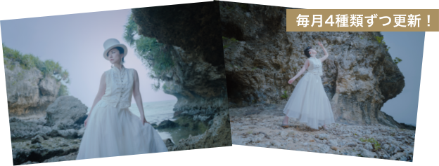 全8種類のポストカードを購入者特典として配布! 毎月4枚ずつ更新！